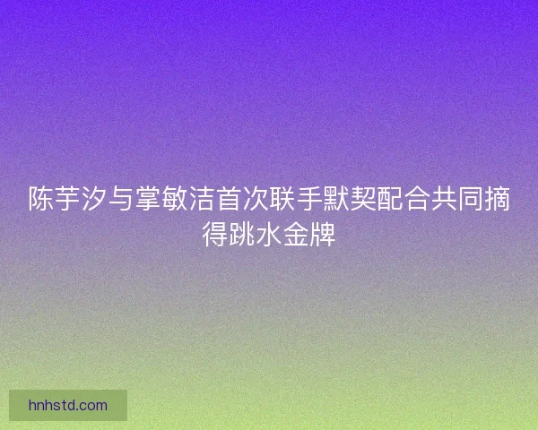 陈芋汐与掌敏洁首次联手默契配合共同摘得跳水金牌